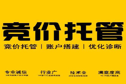 信息流广告投放公司案例策略解析